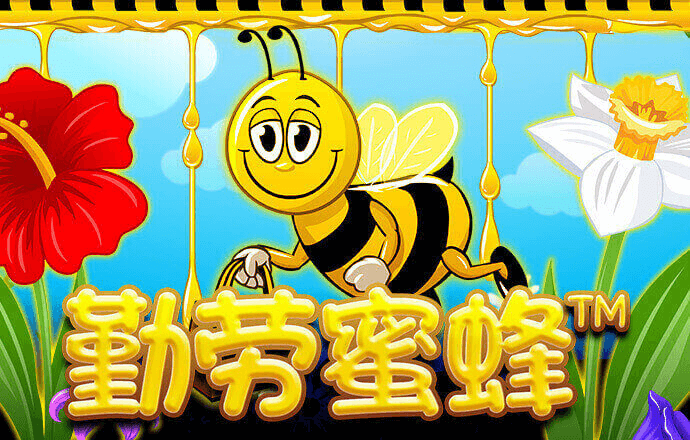 LEHU230:COM-WWW:LEHU230:COM